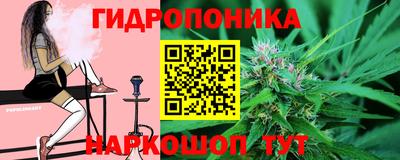 прущие крисы Заводоуковск