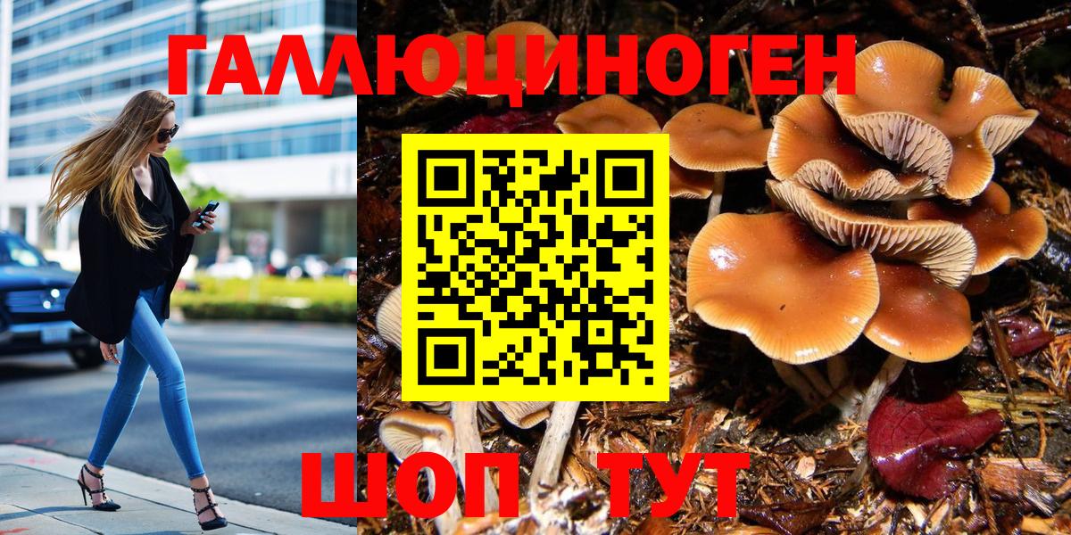Псилоцибиновые грибы прущие грибы  Псилоцибиновые грибы Cubensis  Майкоп  Вход с VPN 